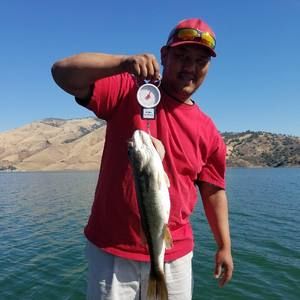 Meet your Posher, Cheng